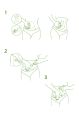 massage-abdomen.jpg